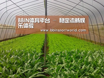 种植基地四