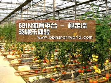 种植基地二(图1)