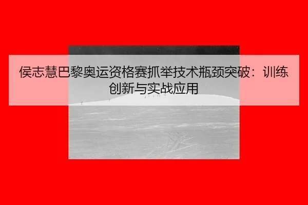 hou-zhi-hui-ba-li-ao-yun-zi-ge-sai-zhua-ju-ji-shu-ping-jing-tu-po-xun-lian-chuang-xin-yu-shi-zhan-ying-yong-2-537.jpg
